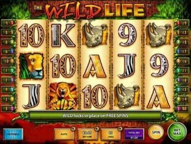 16.200+ Spielautomaten gratis spielen Ohne Anmeldung.